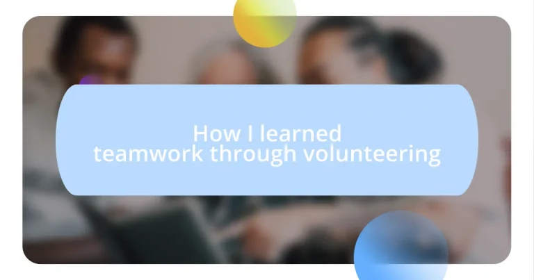 How I learned teamwork through volunteering